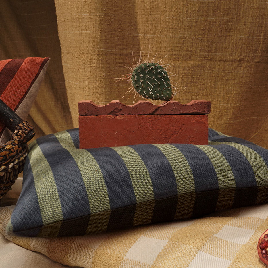 a cactus sitting on top of a pillow next to a pillow