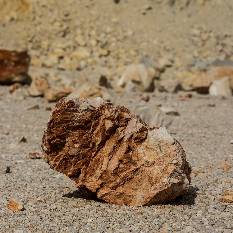 a rock sitting on top of a sandy ground