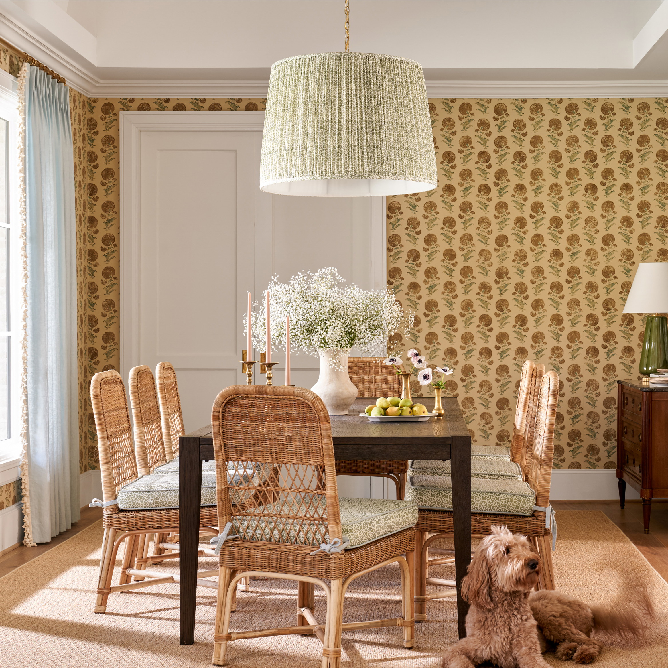 a dining room with a dog sitting on the floor