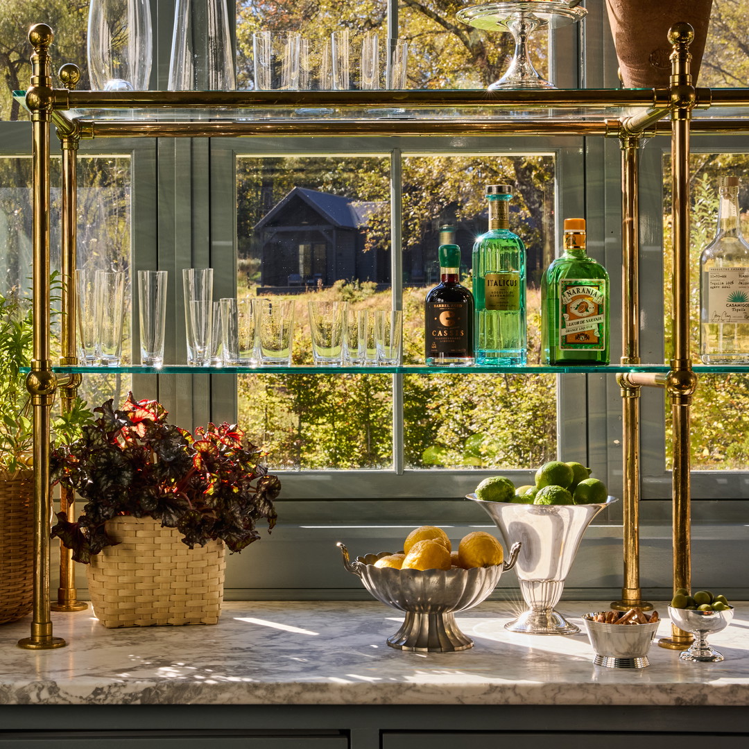 a kitchen counter with a shelf full of plants