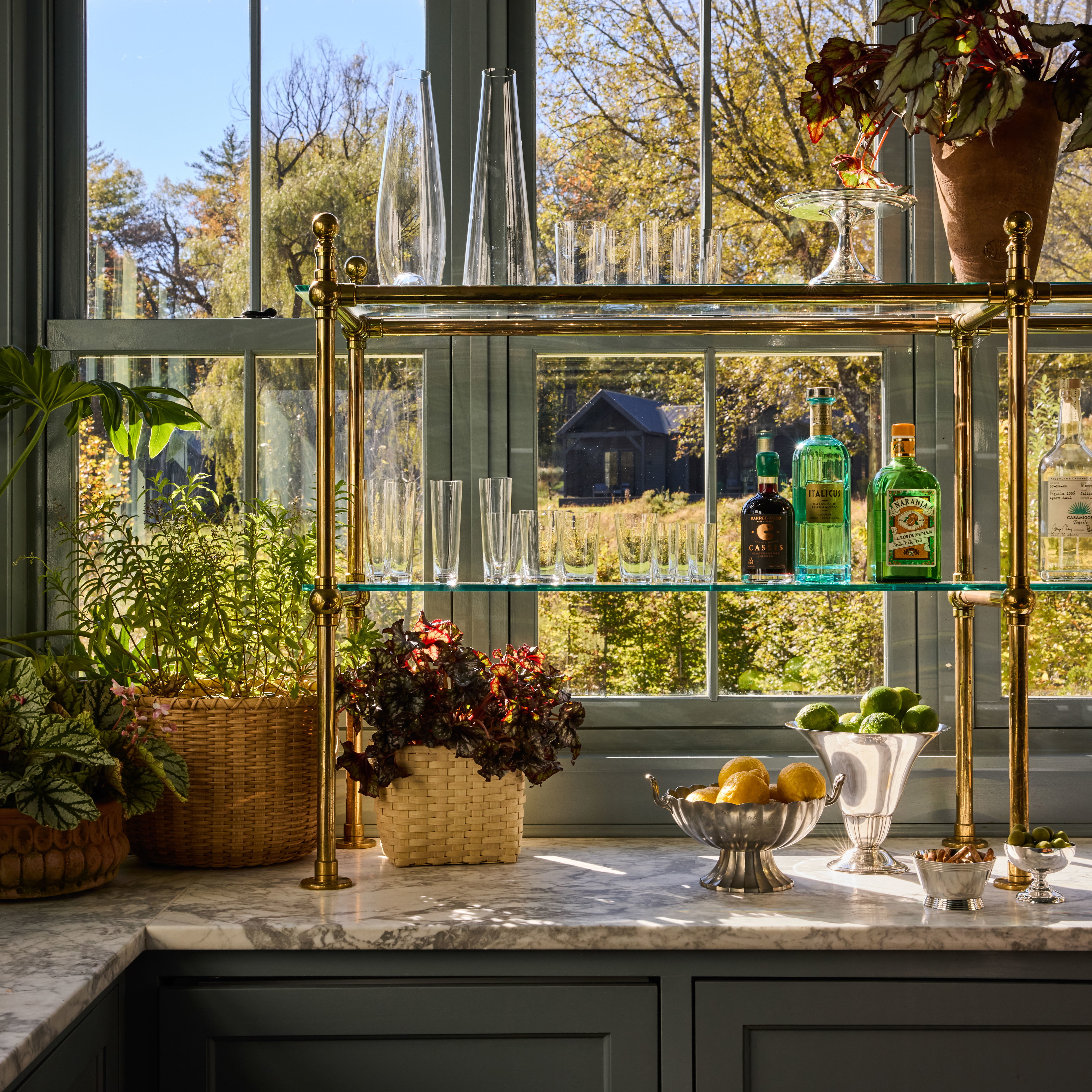 a kitchen with a window and a shelf filled with potted plants