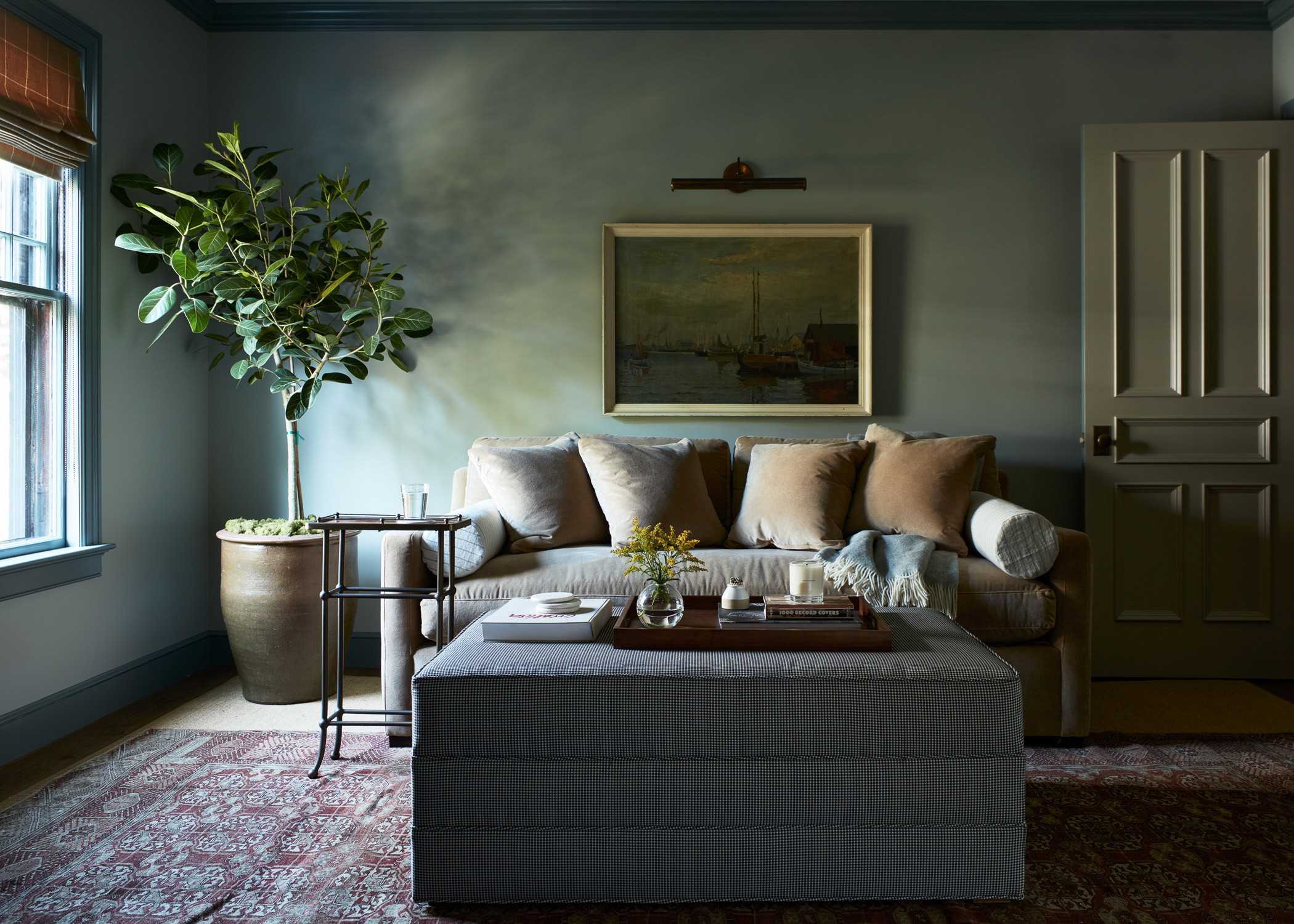 a living room filled with furniture and a large potted plant