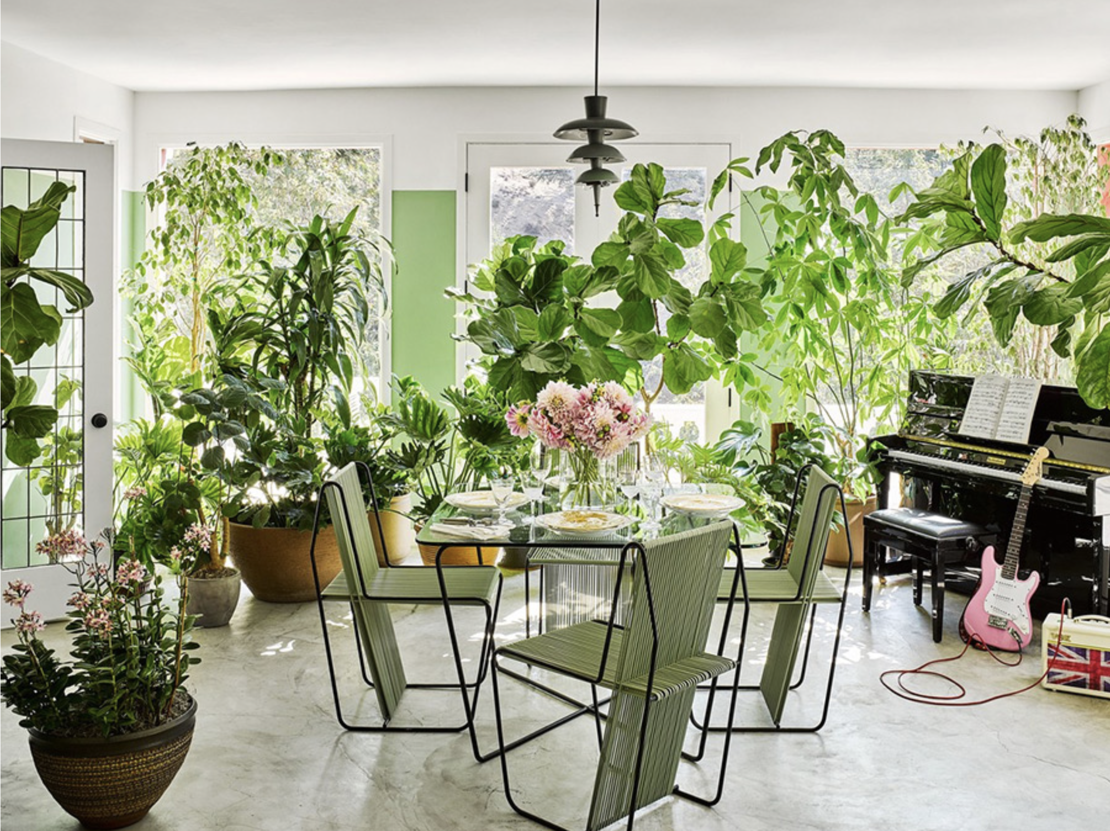 a room filled with lots of plants and a piano
