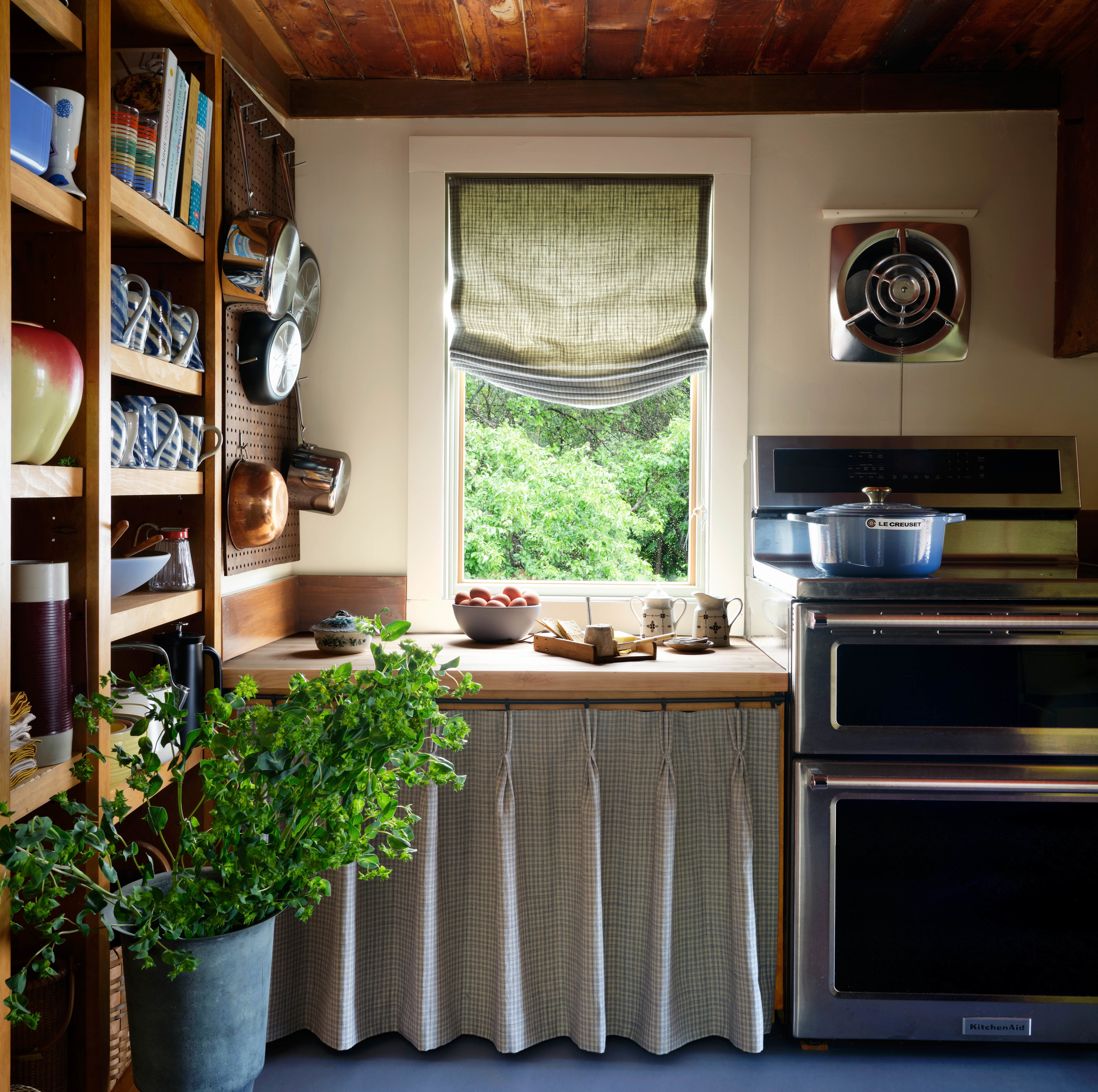 a kitchen with a potted plant next to a window