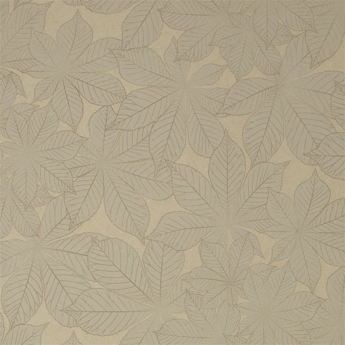 The image of an Bay Leaf Wallpaper product
