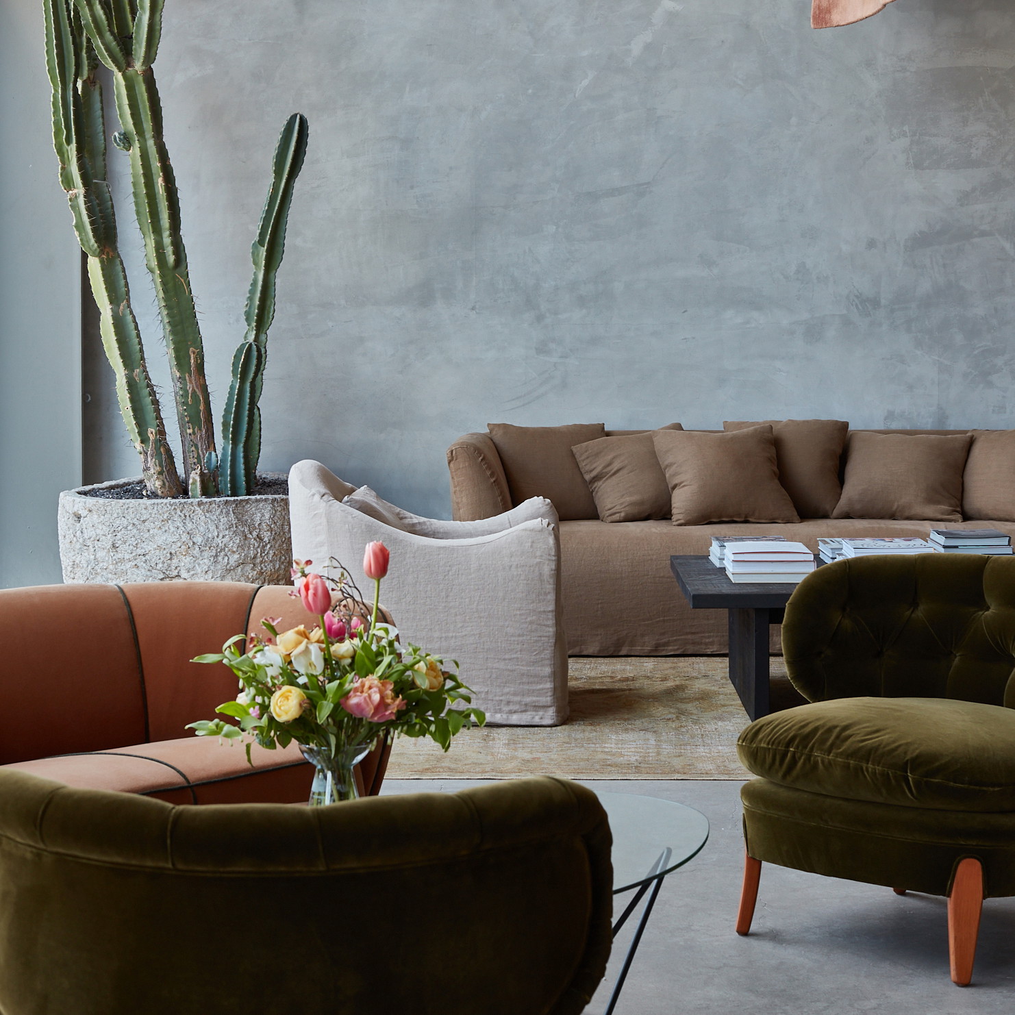 a living room filled with furniture and a cactus