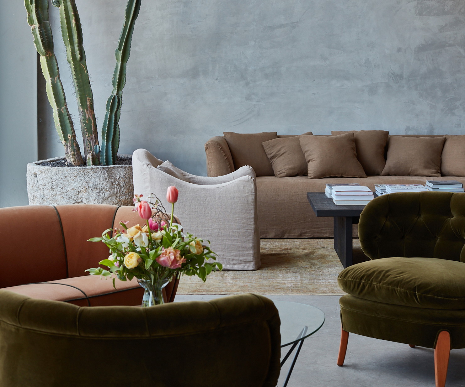 a living room filled with furniture and a cactus