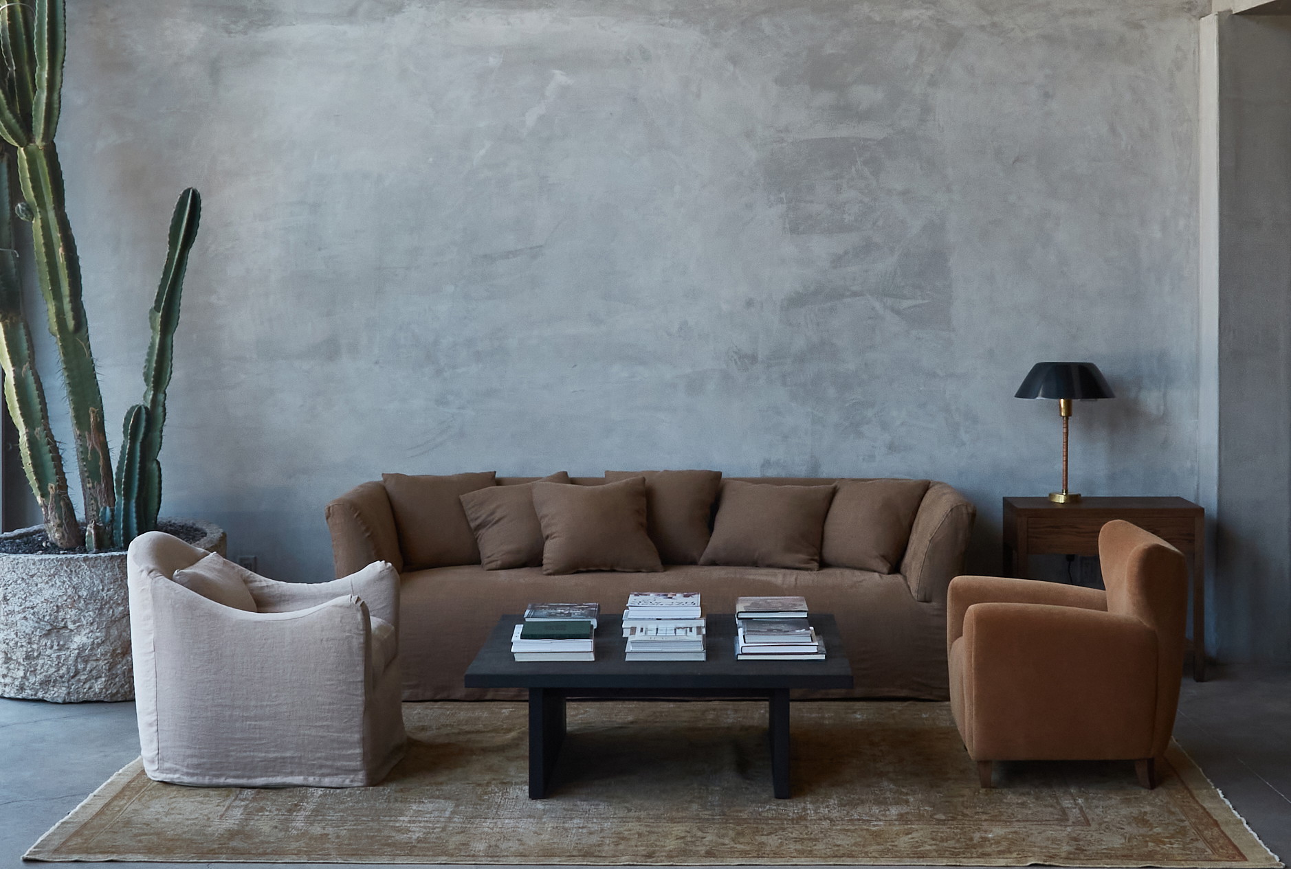 a living room filled with furniture and a cactus