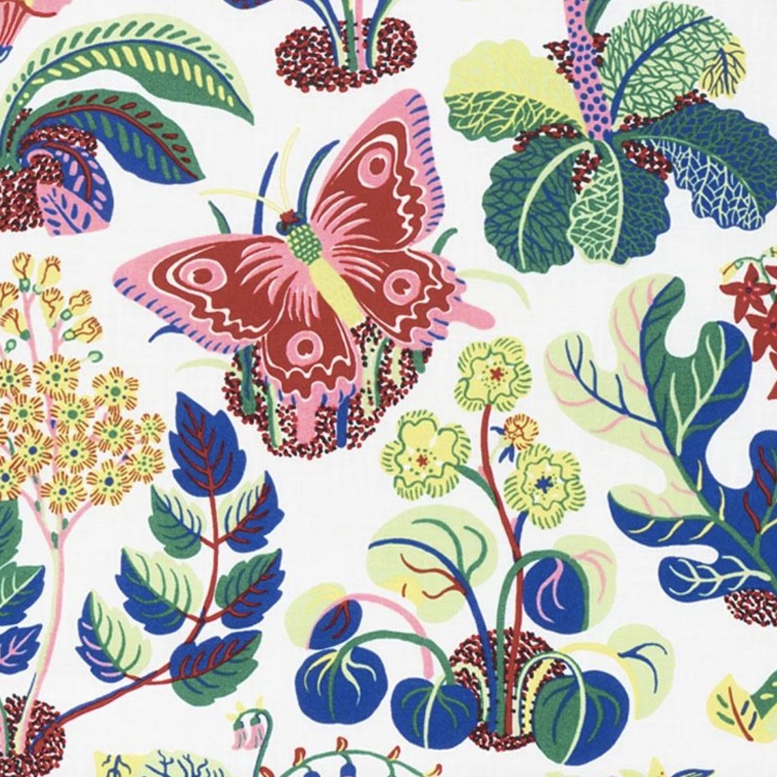 The image of an Exotic Butterfly Indoor/Outdoor Fabric product