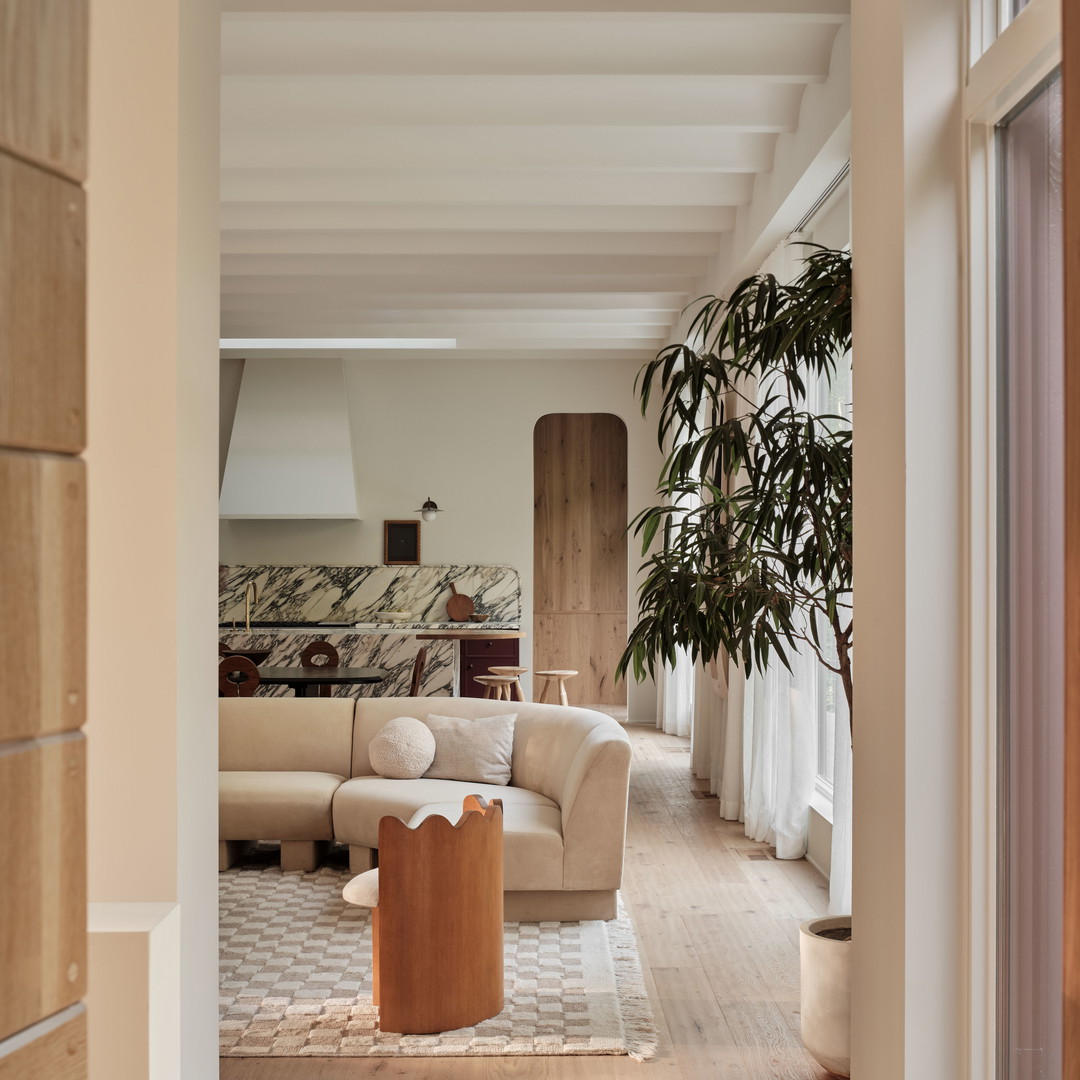 a living room filled with furniture and a potted plant