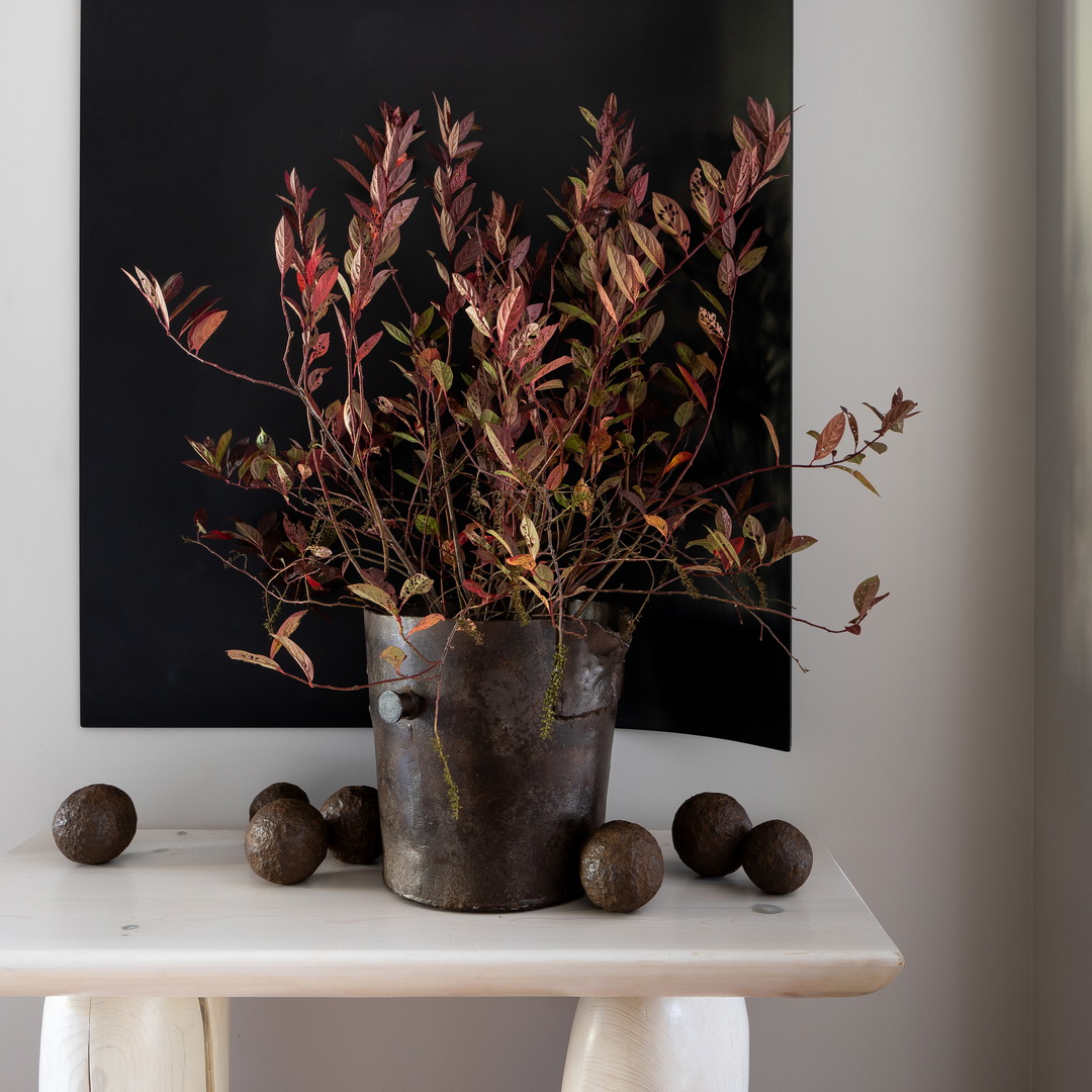 a potted plant sitting on top of a white table