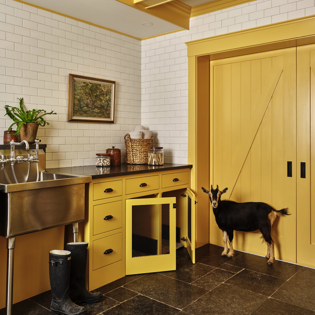 a goat standing in a kitchen next to a sink