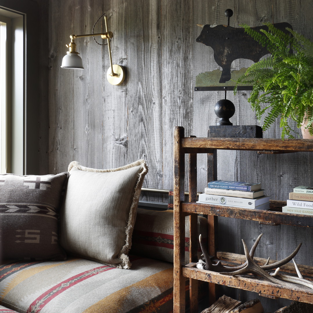 a living room with a couch, bookshelf and a potted plant