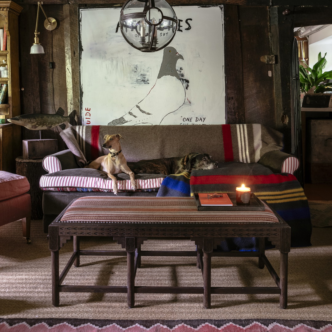 a dog sitting on a couch in a living room