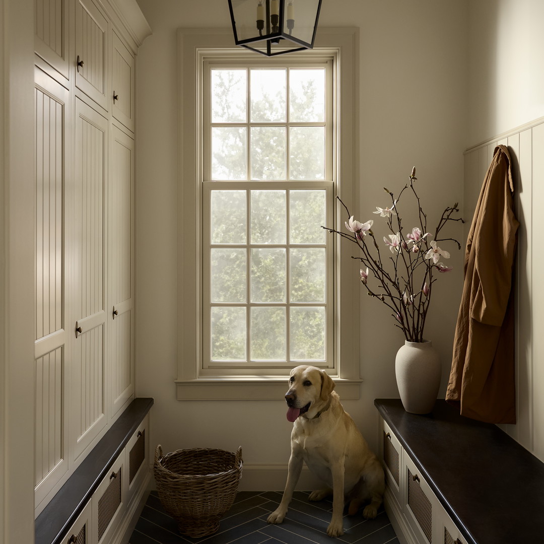 a dog sitting on a bench in front of a window