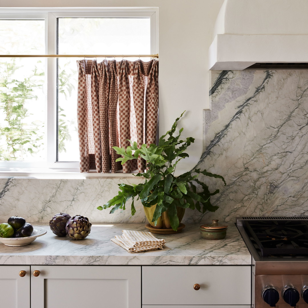 a kitchen counter with a potted plant on top of it