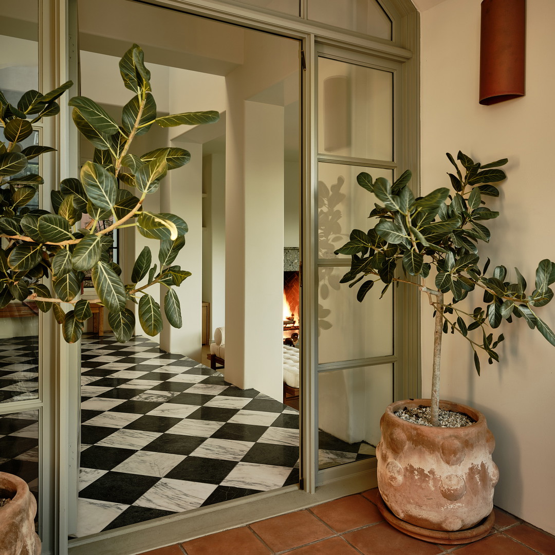 a potted plant sitting on top of a tiled floor