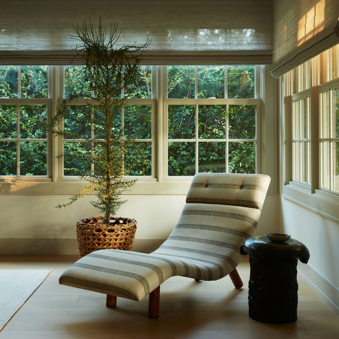 a chair and a potted plant in a room