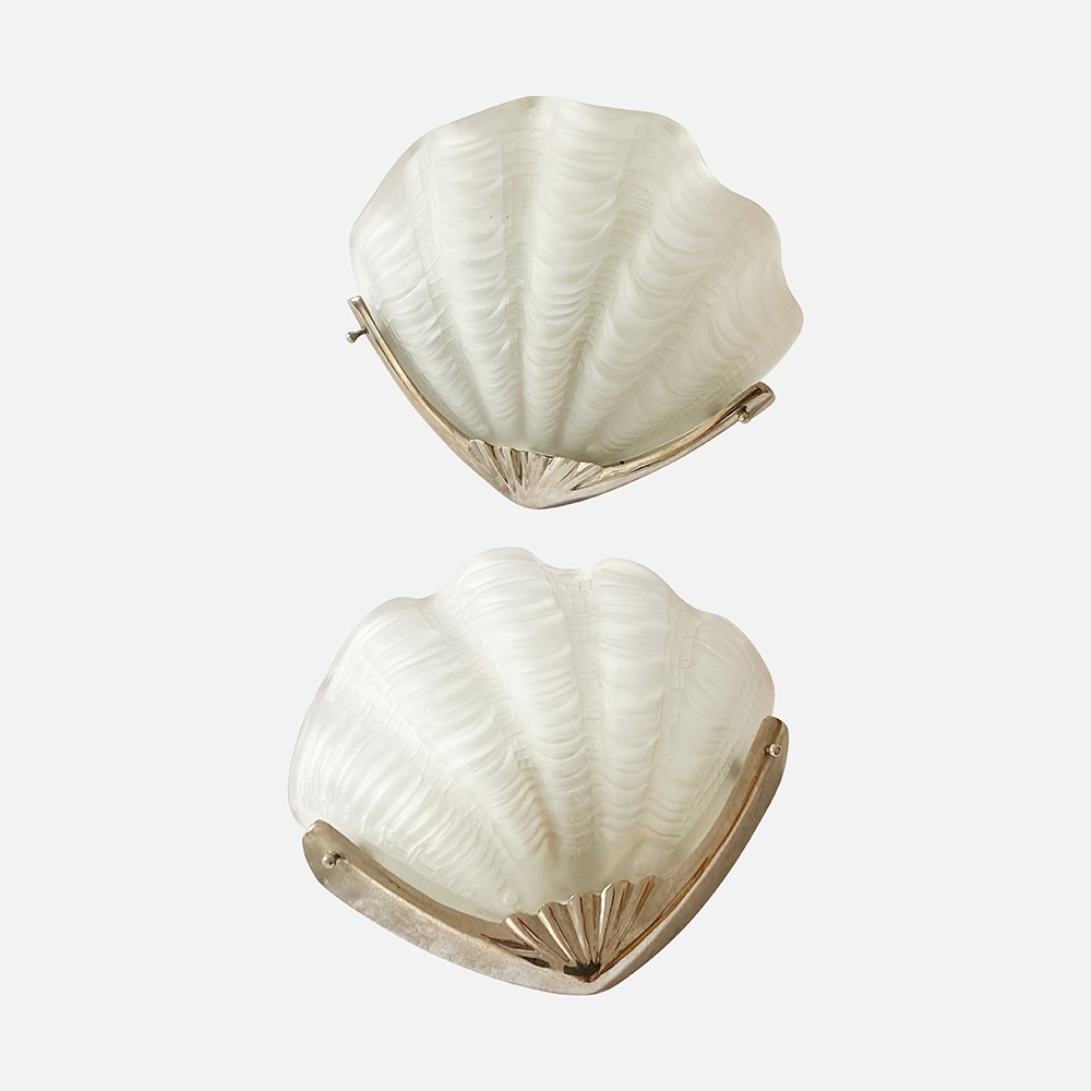 a pair of seashells on a white background