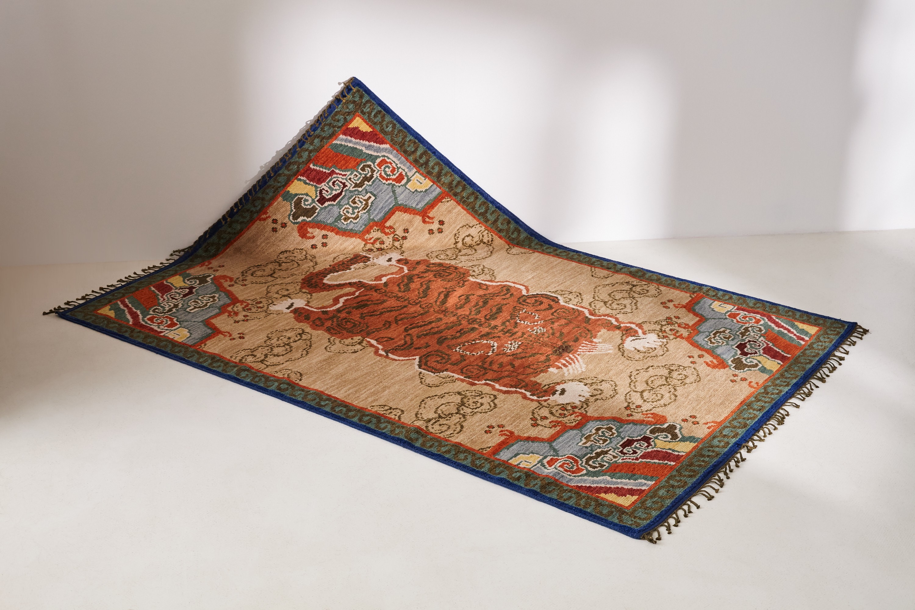 a large oriental rug on a white surface
