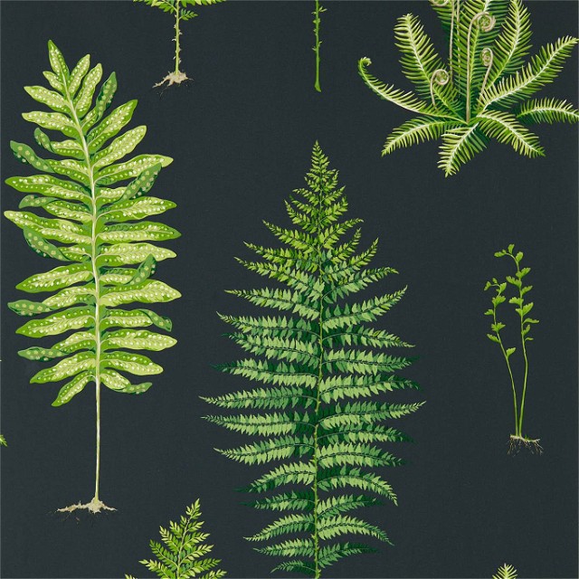 a bunch of green plants on a black background